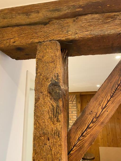 Gemuetlich & Einzigartig: Altbauloft In Apartment Edenkoben