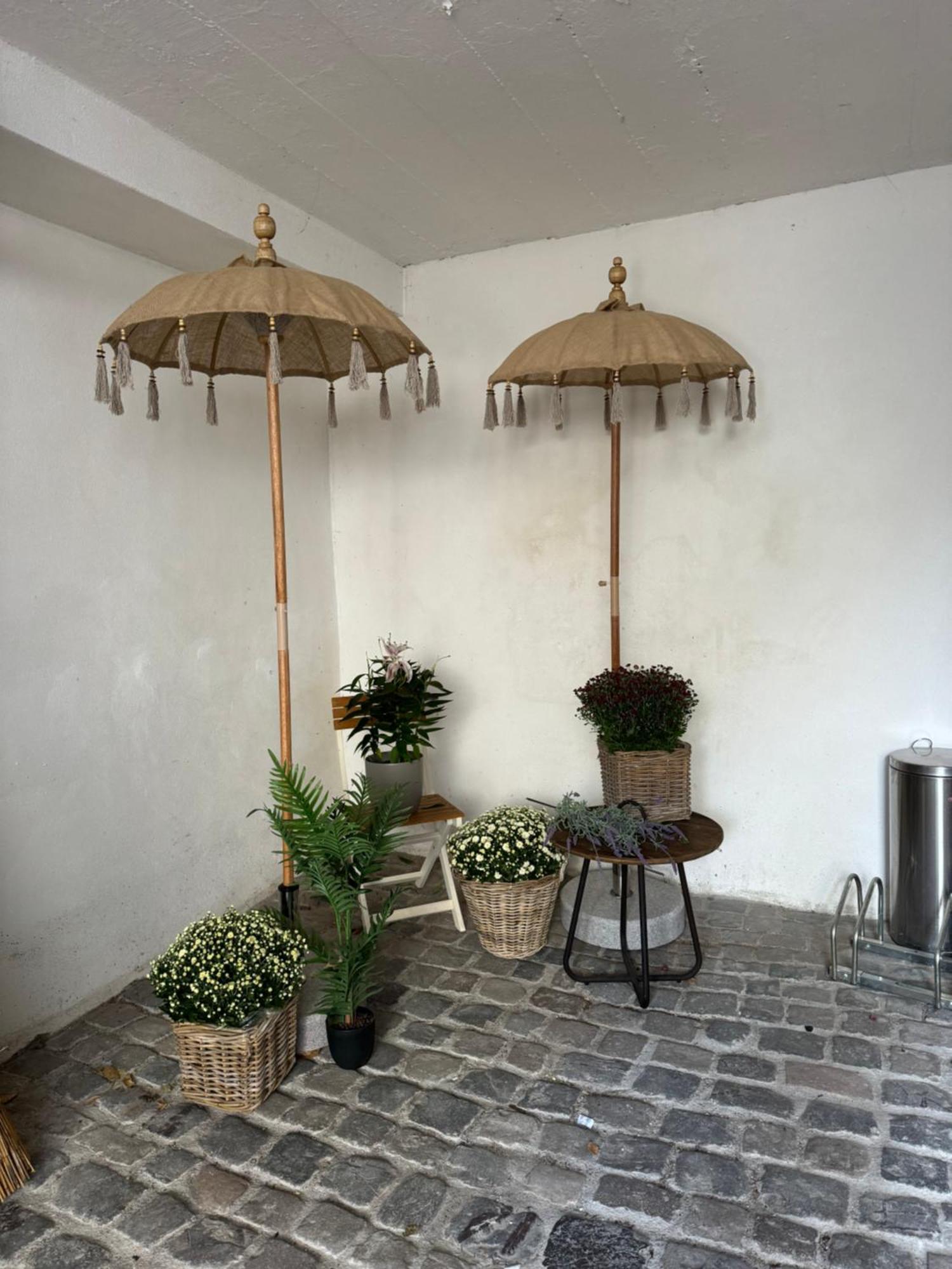 Gemuetlich & Einzigartig: Altbauloft In Apartment